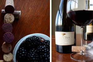 Revana Wine Photography-2.jpg